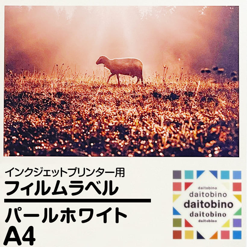 フィルム ラベル daitobino IJ用 パールホワイト A4 50枚 BINOINA4PW 