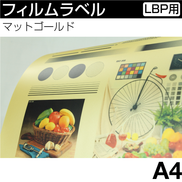 tBx [[U[v^p] }bgS[hyA4z(100)