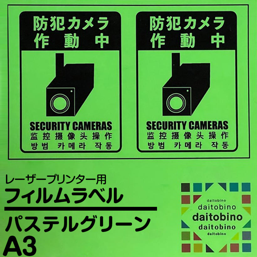 tB x daitobino LBPp pXeO[ A3 50 BINOLNA3PGY