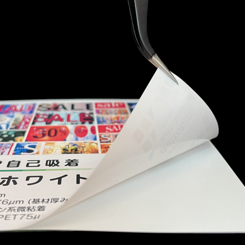 tB x daitobino LBPp ȋz zCg A4 50 BINOLPTA4W