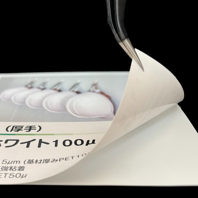 tB x daitobino LBPp  zCg A3 50 BINOLNTA3W